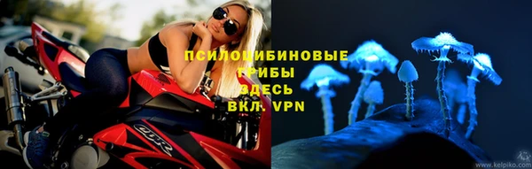 спиды Белоозёрский