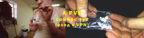 винт Белокуриха
