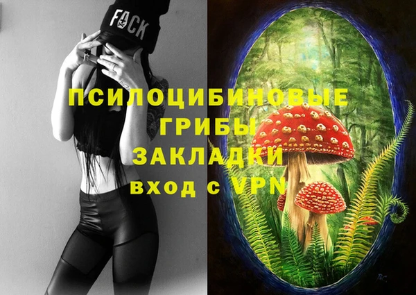 спиды Белоозёрский
